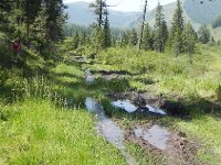 DSCN8497  he finally used the winch to extract himself.Luckily there was a well-anchored tree nearby