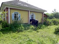 DSCN8519  Somewhat more formal but the lawn needs help