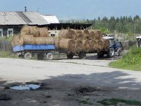 DSCN8523  bring in the hay for the winter from the meadows
