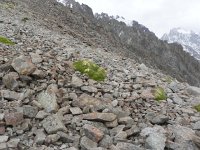 DSCN0001  so we climbed up to about 3600 m