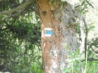 DSCN7697  thought the trail blazes were distinctly Swiss