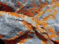 DSCN7721  Lichens provide color in a B&#38;W landscape