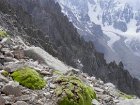 DSCN7735  Cushion plants and winding glacier
