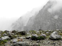 DSCN7741  but then it did indeed rain, and well!