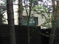 DSCN8602  often quite nice ones