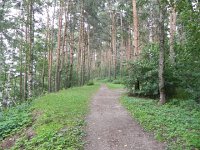 DSCN8610  now a river bank forest