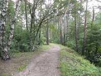 DSCN8611  in both directions