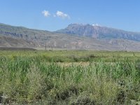 DSCN7762  Irrigated farmland: the Soviets invested heavily here I would guess