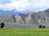 DSCN7819  It became greener as we gained elevation