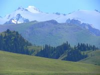 DSCN7830  what we looked at