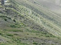 DSCN7834  with free range cow at the bottom