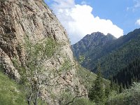 DSCN7844  the deer pen alongside the stream