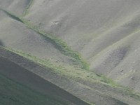 DSCN7851  a velvety landscape