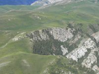 DSCN7865  and even some tree: one wonders if it is just climate that excludes trees on the rolling terrain