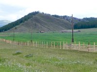 DSCN8547  plank fences