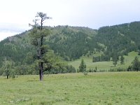 DSCN8562  the storm passed, the sky lightened as did my mood