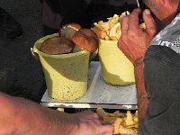 DSCN8589  we stopped for mushrooms