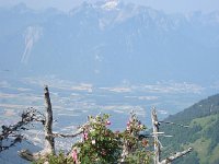 DSC06296  Just below Rochers de Naye,a view across the Chablais