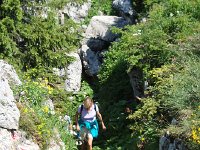 DSC06307  an hour later we were at the top of the first major climb