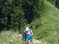 DSC06318  Our route follows the ridge top