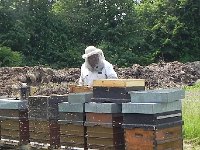 DSCN7448  A bee keeper tending his flock!