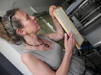 DSCN7474  The bee keeper explaining