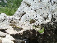 DSC05515  Numerous springs emptied directly into the river from the limestone
