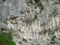 DSC05557  Eroded limestone