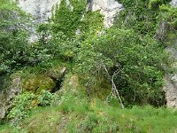 DSC05558  One of the many springs draining into the river