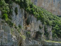 DSC05576  Just what you expect in southern France