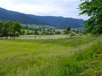 DSCN7533  But it is not high so the meadows are thick