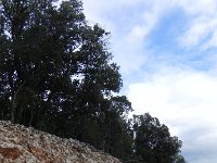 DSCN7548  Iron in the limestone on top of the plateau