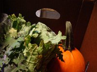 DSC06340  Vivianne has signed up for fresh, local produce service that brings a box of goodies every Friday at 5 PM (just while we were out getting groceries at Safeway)