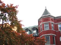 DSC06360  In the Shaw neighborhood the trees matched the buildings