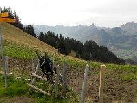 DSCN9897  Looking west with trail to &#34;the bridge that shakes&#34;