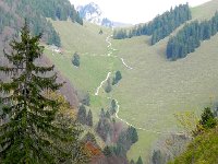 DSCN9910  Just couldn&#39;t get enough of the road across the way