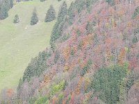 DSCN9911  Fall comes to Gruyère