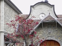 DSCN9931  Time still flows