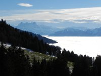 DSCN0011  I couldn&#39;t get enough of the sea of clouds