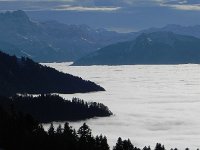 DSCN0013  The light changed