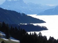 DSCN0014  The view changed