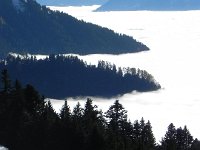 DSCN0015  Details were interesting