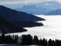 DSCN0018  This might be the best!