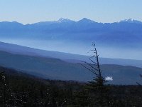 DSCN0131-crpd  It felt like Canada!