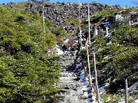 DSCN0132  We took a walk