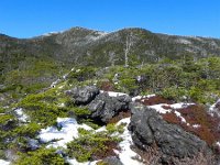 DSCN0139  This is not so different from the Adirondacks (though much higher)