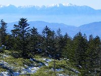 DSCN0146  Forest opening and peaks