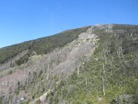 DSCN0158  Disturbance feature on Mt. Shimakare