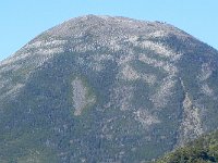 DSCN0160  SW face of  Mt. Tateshina with distinct mortality features