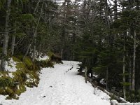 DSCN0294  I followed the only trail still open